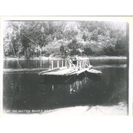 Buller River - Nine Mile Ferry