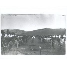 Tuapeka Mounted Rifles