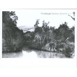 Woodhaugh Gardens, Dunedin, N.Z.