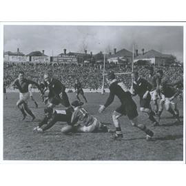 N. Z.-Australia Tour