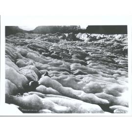 Fox Glacier