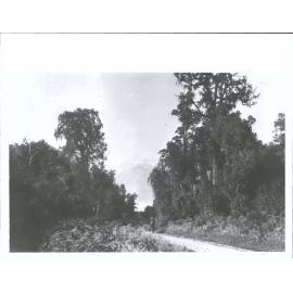 Road to Franz Josef Glacier