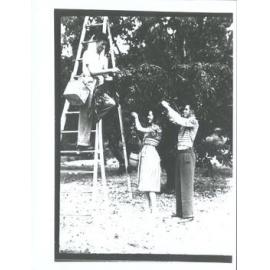 Cherry picking, Roxburgh