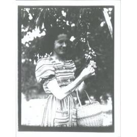 Miss Bennetts cherry picking, Roxburgh