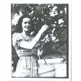 Miss Bennetts Cherry picking, Roxburgh