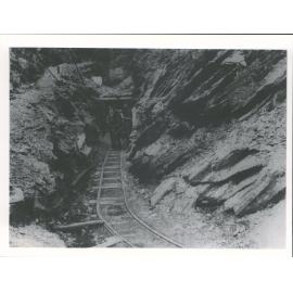 Premier Mine. Macetown Otago-Entrance to Low-level Adit