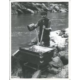 Washing gold Clutha River