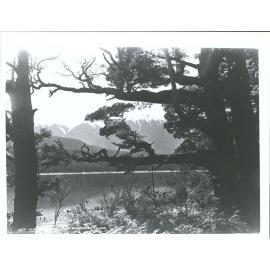 From Midwinter Island