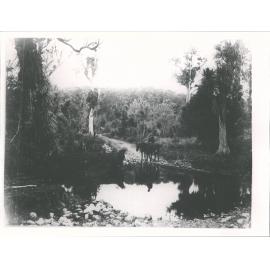 Autaha Ford, Waikawa River