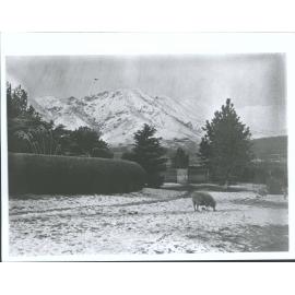 Entrance, Takitimu Mountains in background
