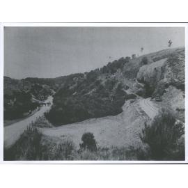 Manuka  Gorge & Creek.