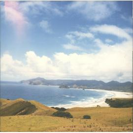 Kaitoke Beach - Medlands Beach beyond