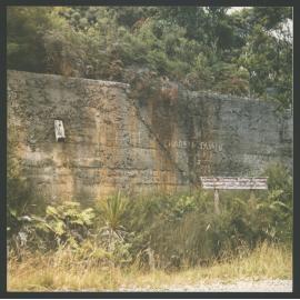 Remains of Oreville Stamping Battery