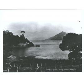 Torea, Queen Charlotte Sound