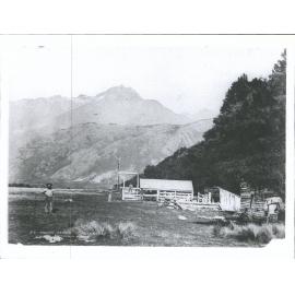 GREENSTONE - Tooth Peaks