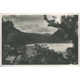 a peep through beautiful native bush. Viewing the Haast River