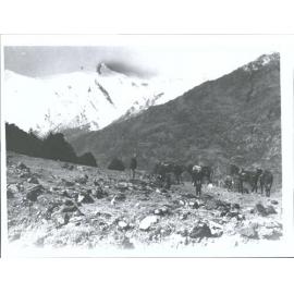 "Taken from Butlers Flat looking down valley to sharks Tooth peak."