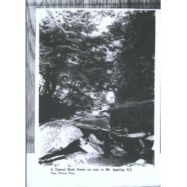 On way to MOUNT ASPIRING