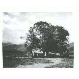 "The Homestead, Cattle Flat, near Wanaka"