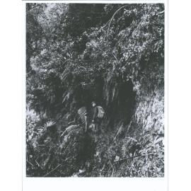 Former walking track 2 miles above Clarke Hut