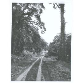 Forming Haast road 25 miles from Haast Settlement