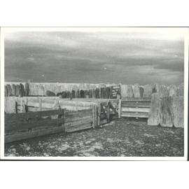 "Longford" - Schist Sheepyards