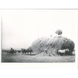 Haymaking