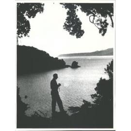 Huita Bay, Milford