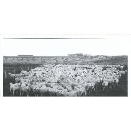 Mr William Watson's  property [Mayfield]