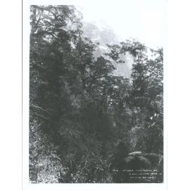 Mt Edgar from Quinton Hut, Te Anau