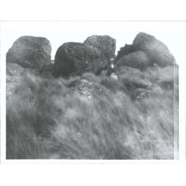 "Group of rocks in Hokonui Hills. Traditional site where travelling Maoris performed rites to ensure safe journeys."