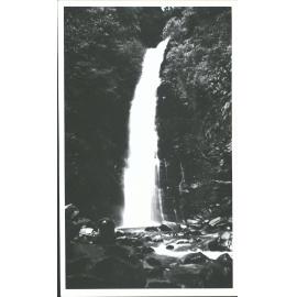 Homer falls