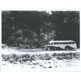 Dunedin Naturalists Field Club at lunch at Homer Camp