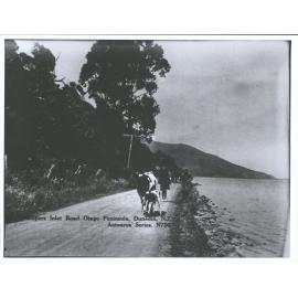 Hoopers Inlet Road, Otago Peninsula, Dunedin, N.Z.