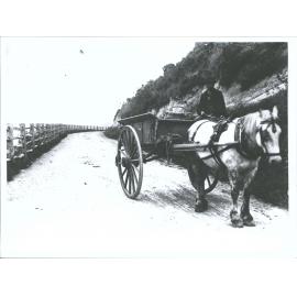 Old "Charlie" & [horse]