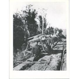 Tuapeka County  "A Breakdown: The Settler's difficulties on the Back blocks. A snapshot  on the road between Fortrose &  Haldane