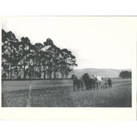 "Ploughing in North Otago"