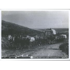 Carting wool from a sheep station in the interior N.Z. (Jack Leslie at reins of 1st Wagon)
