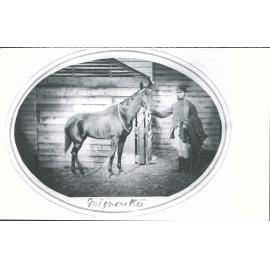 Winner of Dunedin Town Plate 100 sovs Apr 7th 1865.