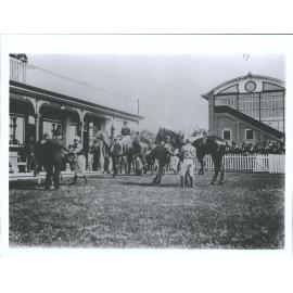Snap in the stewards  enclosure .Wingatui on Labour Day
