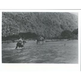 Horses - Fording a River [Barrier?]