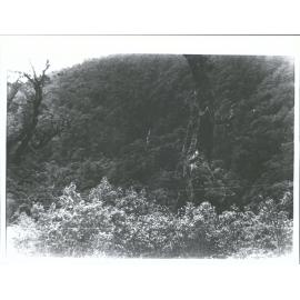 Falls viewed from Main Road   DNFC Trip