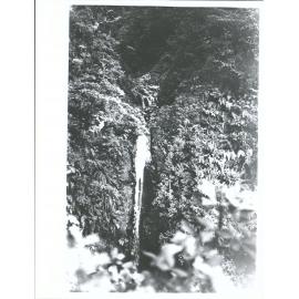 Falls across track viewed from foot of zig-zag  D N F C trip