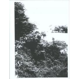 Hutt Valley, Wellington, N.Z.