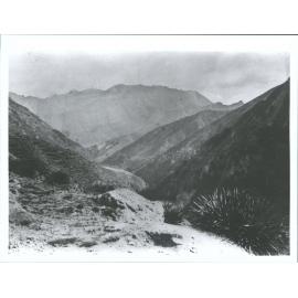 Upper Moonlight Creek