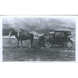 Horse v motor Central Otago