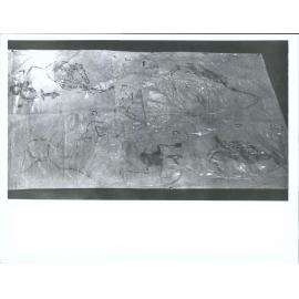 "Bird, human & aquatic forms."