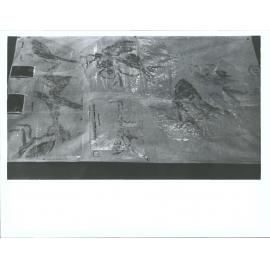 "Te Ana Raki Sections Whitestone Oamaru Northern Otago"