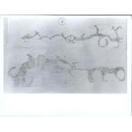 Sheet 8"A. Stylised design traditional taniwha motifB. Stylised motif."