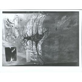 A. Human B. Birds C. Bird D. Dog E. Photo of dog